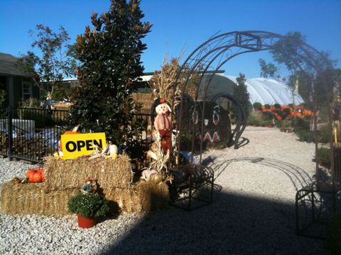 Open sign at the patch arch