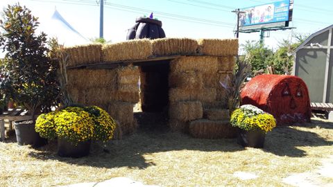 Hay maze