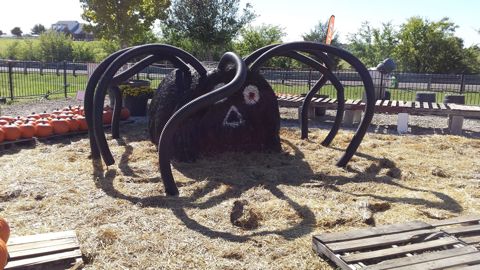 Giant spider made from farm equipment