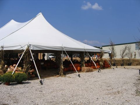 The big white tent full of pumpkins
