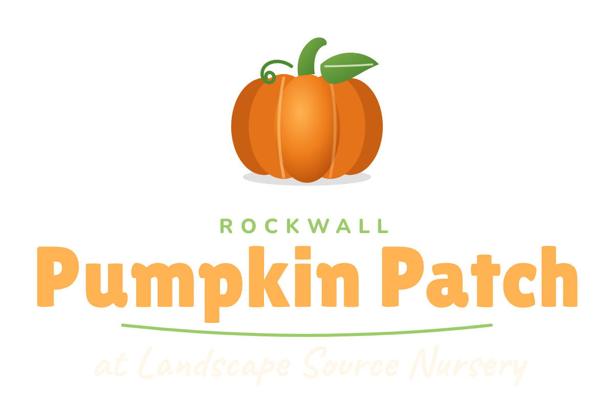 Rockwall Pumpkin Patch at Landscape Source Nursery